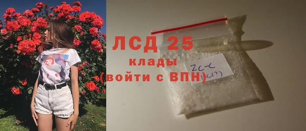 mdpv Новодвинск