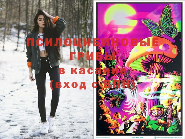 mdpv Новодвинск