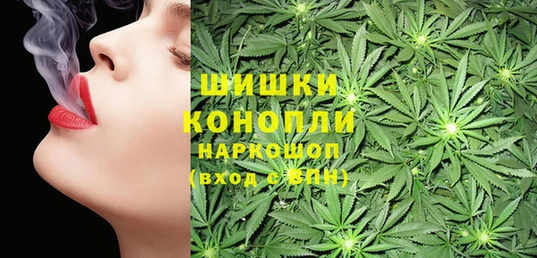 mdpv Новодвинск