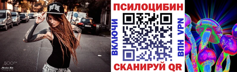 Псилоцибиновые грибы Cubensis  Купить  Искитим 
